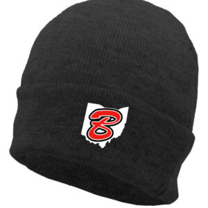 B2 Bulls Winter Hat